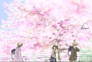 夜色网页版